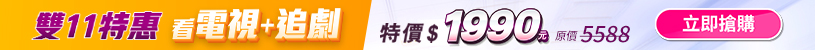 双11特賣